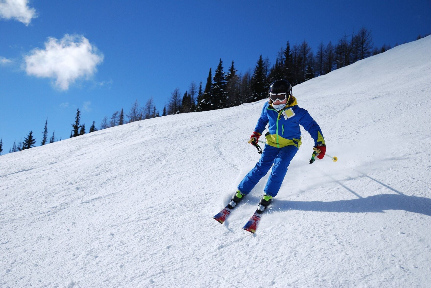 1. Powder Hounds